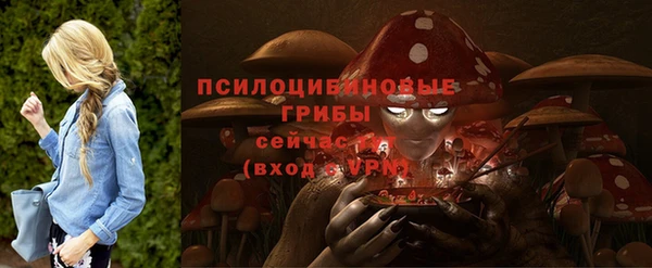 СК Красноперекопск