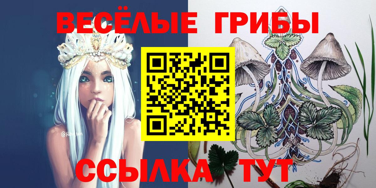 Галлюциногенные грибы GOLDEN TEACHER Нефтекамск
