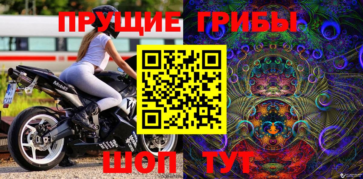 Псилоцибиновые грибы MAGIC MUSHROOMS  Нефтекамск  где купить наркоту  Галлюциногенные грибы Cubensis 