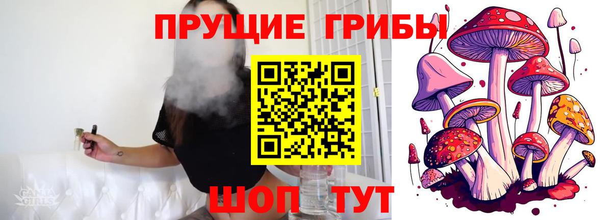 Нефтекамск  Псилоцибиновые грибы GOLDEN TEACHER  закладка  Вход с VPN 